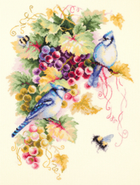 BLUE JAY AND GRAPES