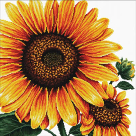 VOORBEDRUKT BORDUURPAKKET SUNFLOWER - NEEDLEART WORLD