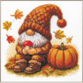 A1044 - Borduurpakket Harvest Gnome - Aine