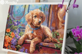 SUNNY PORCH - MEREJKA (235)