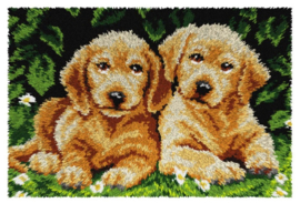 KNOOPKLEED ORCHIDEA - Labrador Pups - 50 x 75 cm