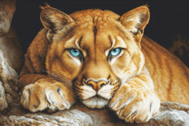 BU5081 Borduurpakket Luca-S - The Wild Spirit - De Wilde Geest
