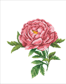 VOORBEDRUKT BORDUURPAKKET ROMANTIC ROSE - LADYBIRD