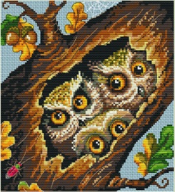 OWLS (32)