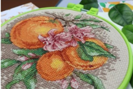 AHM-076 Borduurpakket ABRIS ART - Citrus Notes -  Citrusnoten