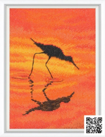 M01054 -  Sandbill - RTO