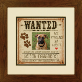 DOG WANTED - Dimensions (USA)