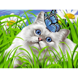 VA038 - DP - Canvas op houten frame - BLUE EYES - 30 x 40 cm