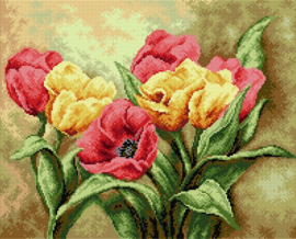 2248 - TULPEN - ORCHIDEA 40 x 50 (STRAMIEN)