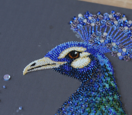 907 KRALEN BORDUURPAKKET Magical Wonder Bird - Magische Wondervogel