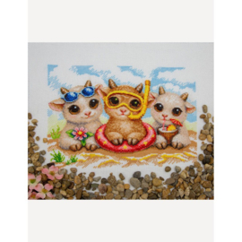 A1049 - Borduurpakket Summer Joy - Aine