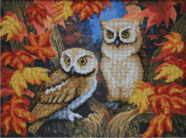 KRALEN BORDUURPAKKET - Owls - Uilen - 0068