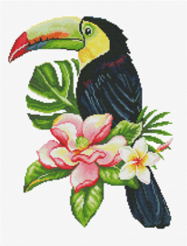 VOORBEDRUKT BORDUURPAKKET TOUCAN LOOK OUT - NEEDLEART WORLD