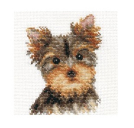 1-29 ANIMAL PORTRAITS. Yorkshire terrier- Alisa
