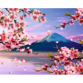 DP - Canvas op houten frame - MOUNT FUJI - 40 x 50 cm