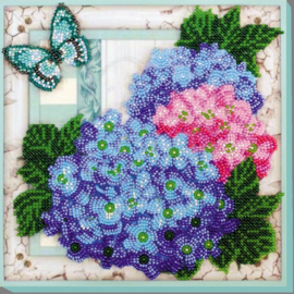 AMB004 - KRALEN BORDUURPAKKET - Gentle Hydrangeas - Hortensias