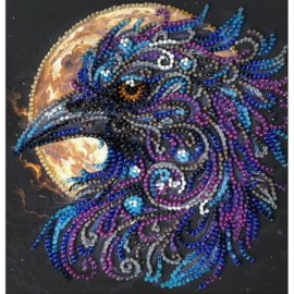 AM270 KRALEN BORDUURPAKKET Amber gaze - Amber Blik