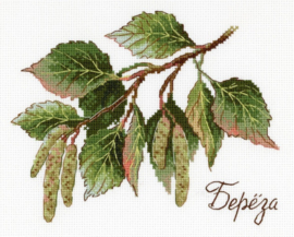 NV-817 A GIFT OF NATURE - BIRCH (Geschenk van de natuur - Berk)