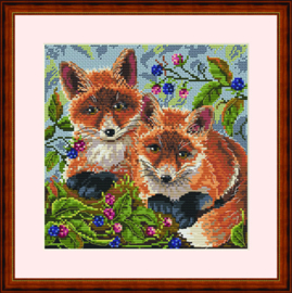 FOXES (44)