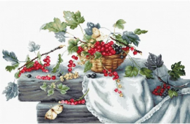 B2262 RED CURRANTS (aida)