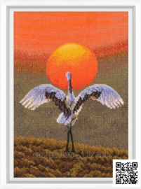 M01053 - Dance - RTO