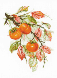 Borduurpakket Riolis - Sunny Persimmon