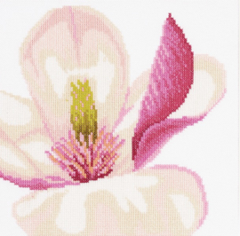 Home and Garden - Magnolia Bloem