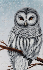 KRALEN BORDUURPAKKET - Snow Owl - Sneeuwuil - 0813