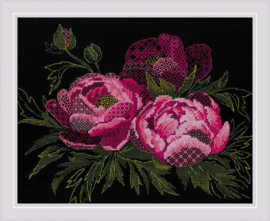 2024 BORDUURPAKKET LACE PEONIES  - RI-2024 - RIOLIS