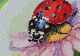 AHM-078 Borduurpakket ABRIS ART - Ladybug - Lieveheersbeestje