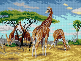 After Friedrich Wilhelm Kuhnert - Giraffes  - ORCHIDEA 30 x 40 (STRAMIEN)