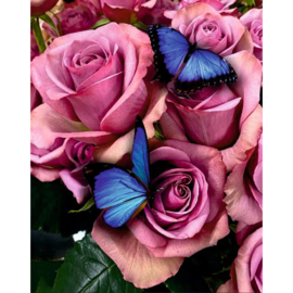 DP010 - Canvas op houten frame - Mooie Rozen - 40 x 50 cm