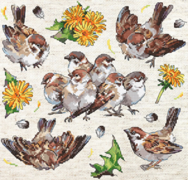 Borduurpakket LETI 8803 - Sparrows - Mussen
