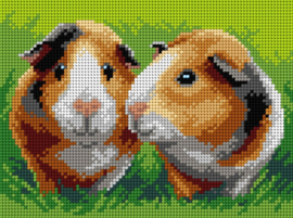 3615 - Guinea Pigs - Cavia's 18x24 cm (STRAMIEN)