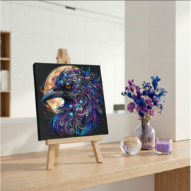 AM270 KRALEN BORDUURPAKKET Amber gaze - Amber Blik