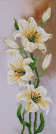 KRALEN BORDUURPAKKET - Lilies - Lelies - 0402