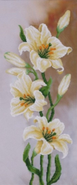 KRALEN BORDUURPAKKET - Lilies - Lelies - 0402