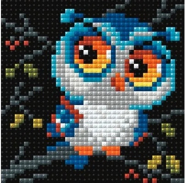Diamond Painting Riolis - Uiltje (Owl) - 10 x 10 cm - full cover