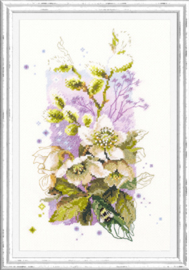 HELLEBORE