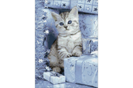 KITTEN AND CHRISTMAS PRESENTS 27 x 38 cm