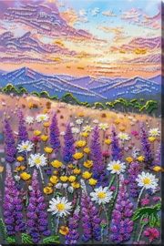 974 - KRALEN BORDUURPAKKET - Valley of Dreams - Droomvallei