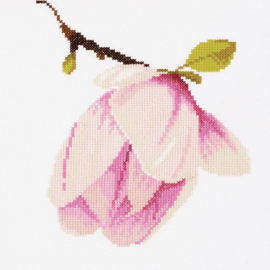 Home and Garden - Magnolia Knop