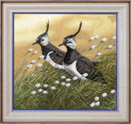 S/Z058 LAPWINGS