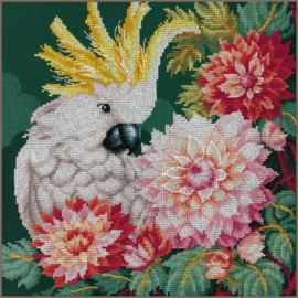 Animals -  KAKETOE DAHLIA'S