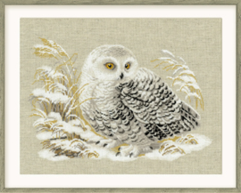 1241 BORDUURPAKKET WHITE OWL - RIOLIS