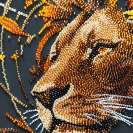 983 - KRALEN BORDUURPAKKET - The King of Beast - De Koning der Dieren
