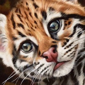 Diamond Painting Wizardi - Ocelot Kitten - 38 x 38 cm