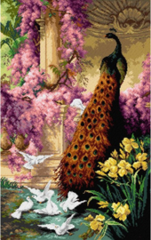 Pauw en Duiven - ORCHIDEA 50 x 81