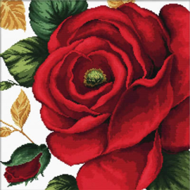 VOORBEDRUKT BORDUURPAKKET ROSE - NEEDLEART WORLD