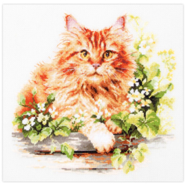 070-022 Borduurpakket The Ginger Cat - Magic Needle